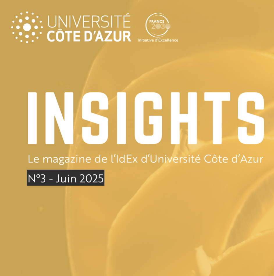 3e édition du magazine INSIGHTS